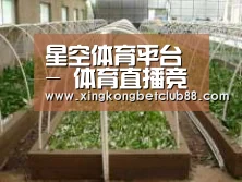 环境展示五