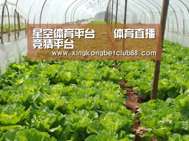 种植基地五