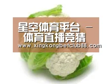 产品名称九