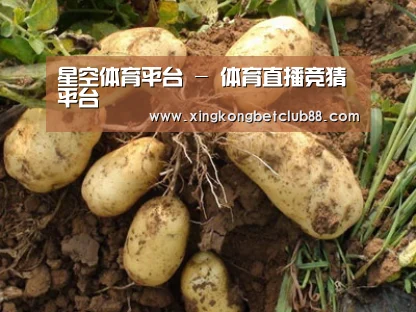 种植基地六
