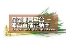 产品名称二