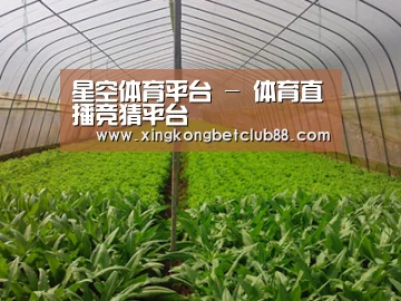 种植基地四