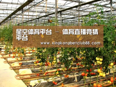 种植基地二(图1)